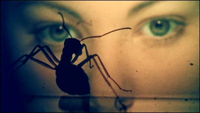 La mirada de Lynne Frederick