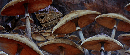 Bosque de setas en el centro de la Tierra