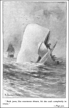 Ilustración de Moby Dick, por Burnham Shuter