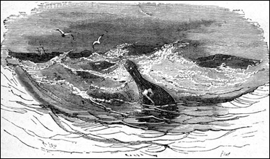 La botella a la que el capitán Grant encomienda su rescate