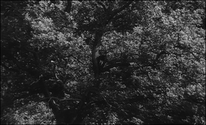 Si no ves al niño, es porque está integrado con el árbol