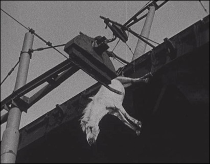 El caballo que cae al vacío en Octubre