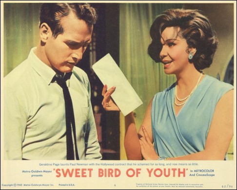 Fotocromo de Dulce pajaro de juventud