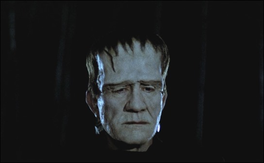 El monstruo de Frankenstein de El espiritu de la colmena