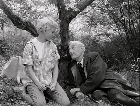 Victor Sjostrom y Bibi Andersson en Fresas salvajes